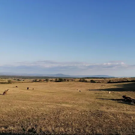 B&B Deiana E Pizzeria 산투 루수르기우