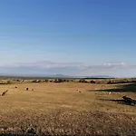 Panzió Deiana E Pizzeria Santu Lussurgiu